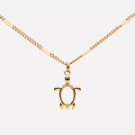 Turtle Guardian Necklace
